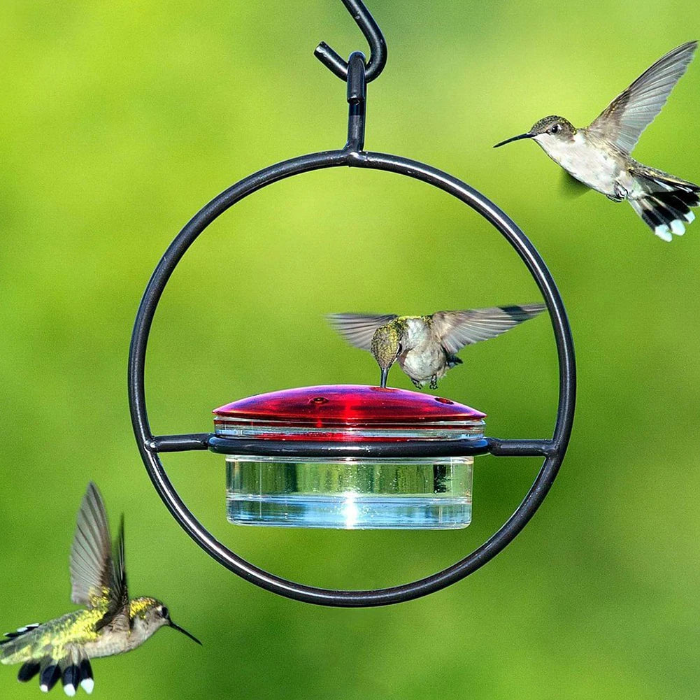 Hanging Hummingbird Feeder Circular Pet Bird Water Drinker Ant Bee Proof for Outdoor Courtyard Patio Garden Yard Window Decor