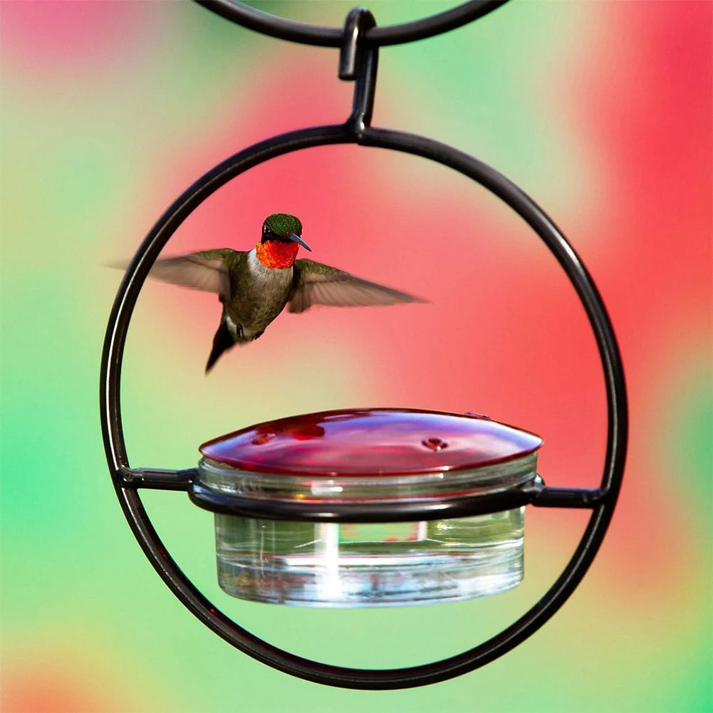 Hanging Hummingbird Feeder Circular Pet Bird Water Drinker Ant Bee Proof for Outdoor Courtyard Patio Garden Yard Window Decor