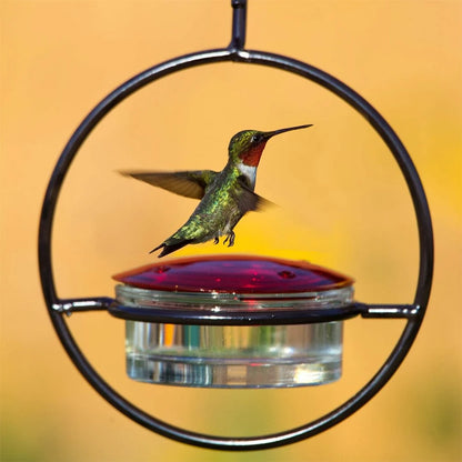 Hanging Hummingbird Feeder Circular Pet Bird Water Drinker Ant Bee Proof for Outdoor Courtyard Patio Garden Yard Window Decor